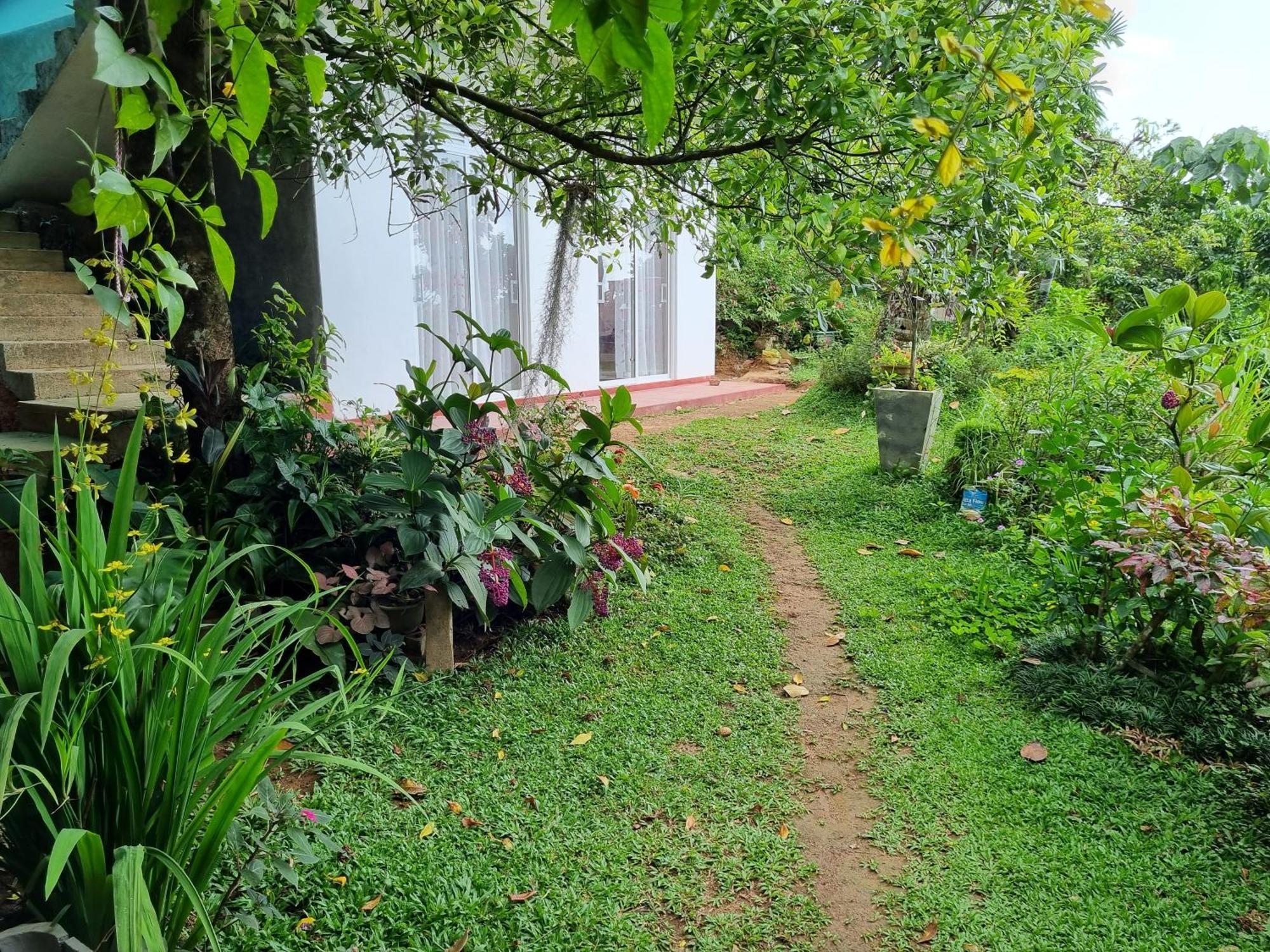 Squirrel'S Nest Hotell Kandy Exteriör bild