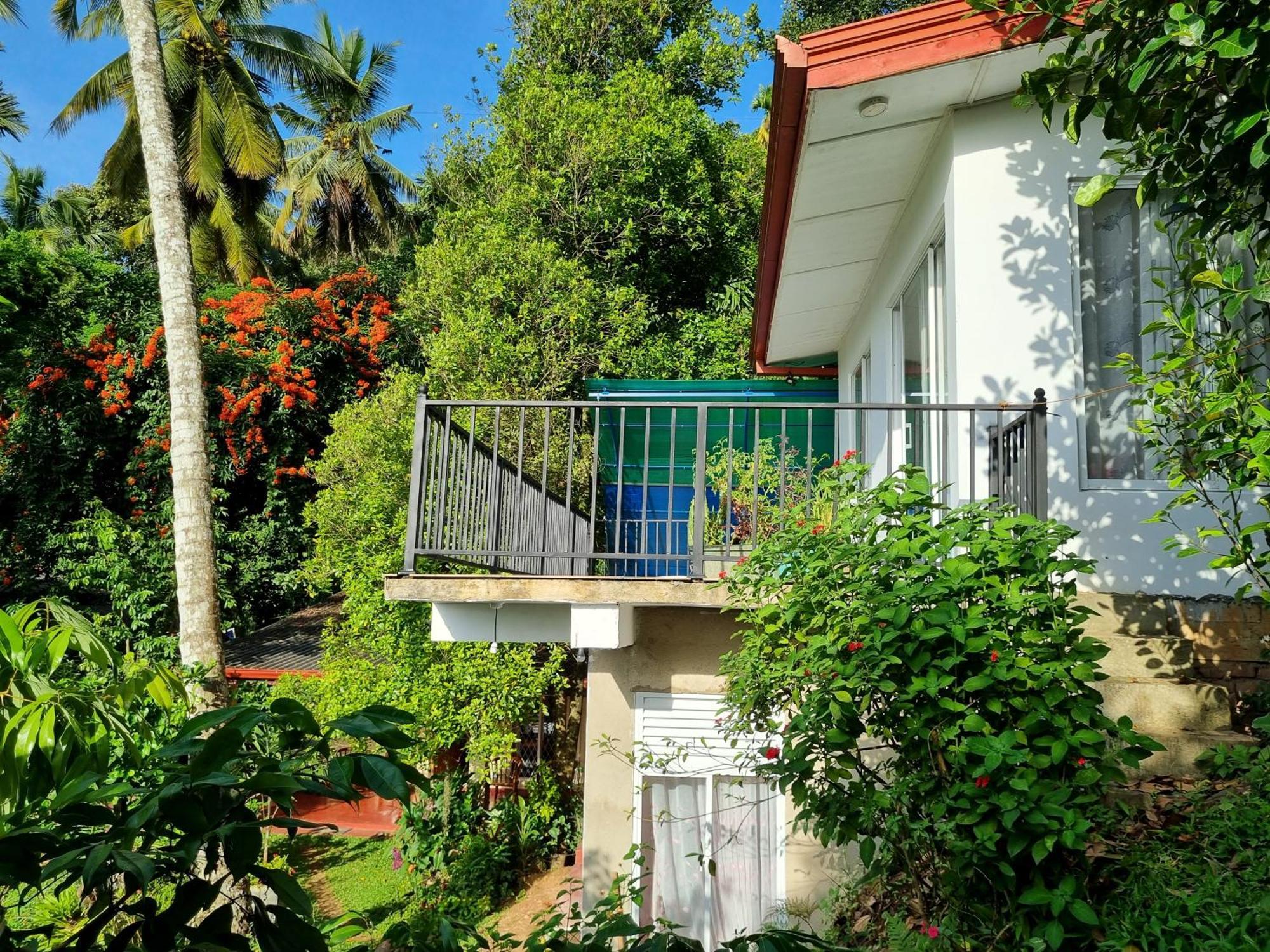 Squirrel'S Nest Hotell Kandy Exteriör bild